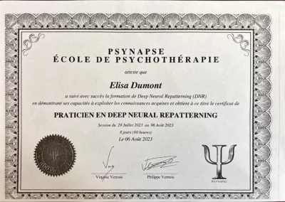 Formation réalisée en 2023 - Praticien en Deep Neural Repatterning